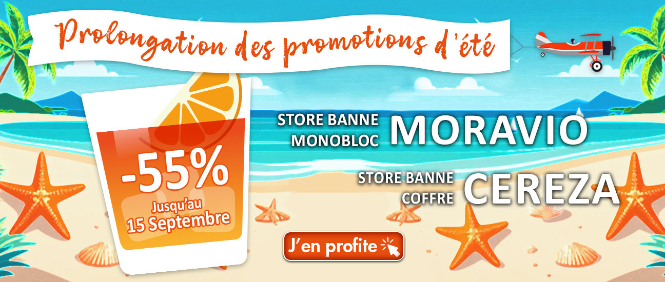 Promo stores bannes